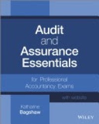 Image of Audit and Assurance Essentials: For Professional Accountancy Exams